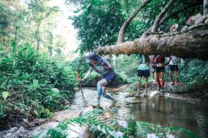 BIB: 
                            <button type="button" onclick="openModal(25438489)" class="btn btn-primary btn-sm float-right btn-popup" data-toggle="modal" data-target=".modal-high-quality">
                        <i class="fas fa-shopping-cart"></i> Add to Cart
                    </button>
                                            <button type="button" onclick="isThisMe(25438489, true)" class="btn btn-success btn-sm float-right btn-popup btn-isme hidden" data-toggle="tooltip" data-placement="bottom" title="นี่คือรูปของคุณใช่ไหม คลิกที่นี่เพื่อเอาเข้าอัลบั้ม">
                        <i class="fas fa-plus"></i> Add to album
                    </button>
                    <button type="button" onclick="isThisMe(25438489, false)" class="btn btn-warning btn-sm float-right btn-popup btn-isnotme hidden">
                        <i class="fas fa-ban"></i> Remove from album
                    </button>